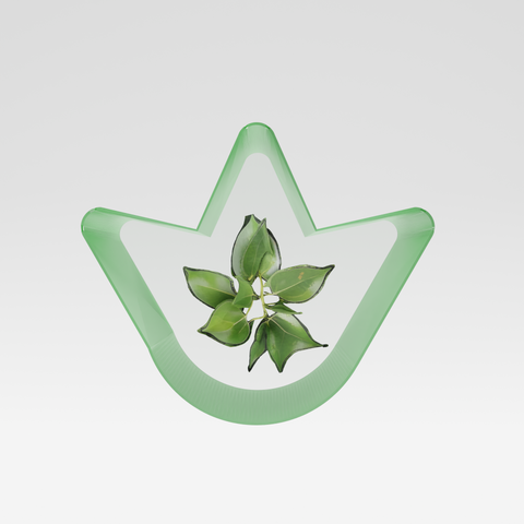Camphre naturel