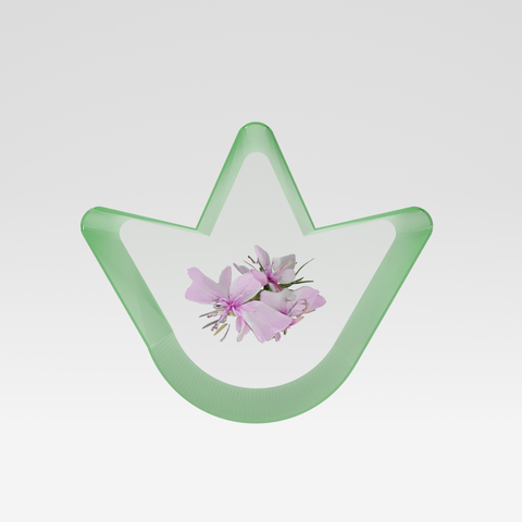 Plante d'epilobium suisse bio